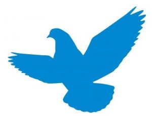 鳥よけジェル①