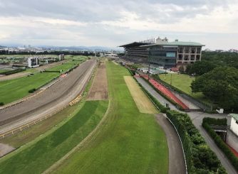 【鳥害】　都内　競馬場様　鳥害対策　施工レポート！