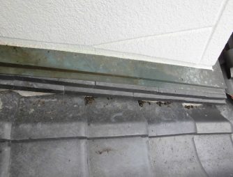 【鳥害】　コウモリの被害にお困りでしたら！