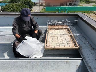 【鳥害】　鳥害対策に【捕獲】という方法もご検討を！