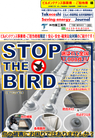 【鳥害】　ビルメンテナンス事業者様・ご担当者様へ