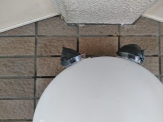 【鳥害】長野県伊那市某マンション駐車場　鳥よけジェル工事レポート