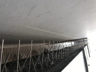 クラシックも良いものです！